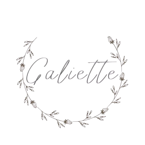 Favicon galiette sans arrière plan