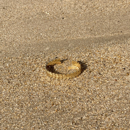 Jonc Jasmin Galiette